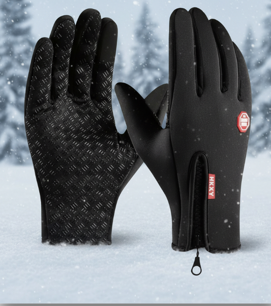 Winter Gloves